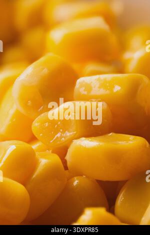 Bunch of boiled corn, macro details close-up Stock Photo