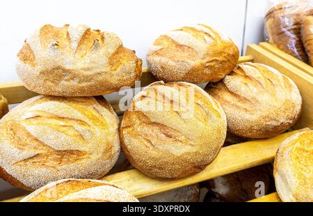 Freshly baked bread on the counter. Freshly baked  loaves of bread displayed on wooden shelves in bakery Stock Photo
