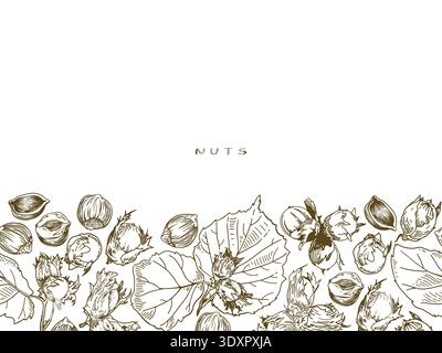 Horizontal banner with vector hand drawn linear drawing of hazelnuts and leaves on a white background. Stock Vector