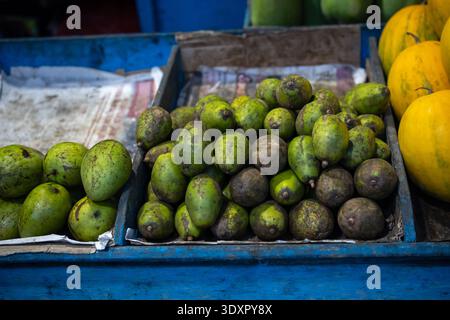 Green mangoes and avocados in blue wooden crates lined with paper Stock Photo