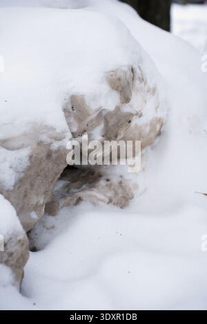 close-up photograph of a dirty snowdrift and partially melted ice showing brown gritty stains and textured crust, an outdoor winter vignette by a tree Stock Photo