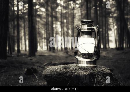 Close-up of a glowing vintage lantern on a mossy tree stump in a dark blue forest at night, creating a magical and serene atmosphere. Stock Photo