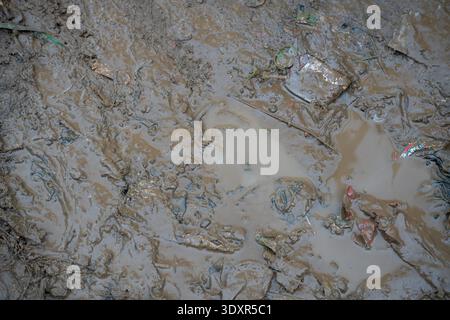 Wet brown mud and water puddle mixed with scattered debris Stock Photo