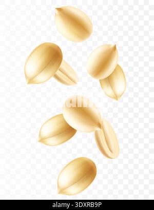 Falling peanuts, isolated on transparent background, selective focus. Flying peanut with blurry effect. Can be used for advertising, packaging, banner Stock Vector