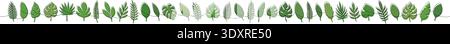 Long continuous line tropical leaves with green fill. Minimalist botanical decorative design Stock Vector
