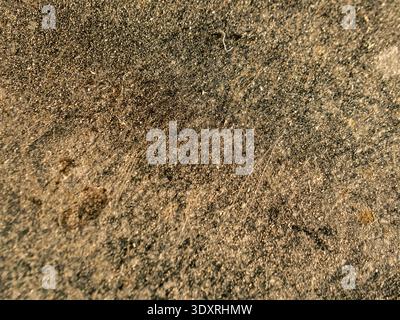 Rugged stone surface, rough texture, natural earth tones. Granular details, weathered and worn, rich in character. Perfect for rustic, outdoor, or nat Stock Photo