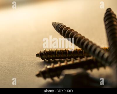 Warm light bathes rusted screws on a flat surface. Close-up highlights their textured, worn metal surfaces. Shallow depth of field blurs background ge Stock Photo