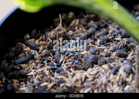 Close-up of NPK fertilizer granules on rich potting soil for optimal plant growth Stock Photo