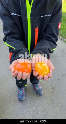 Close up of child holding two bright orange and yellow Easter eggs outdoors. Festive spring moment expressing joy, excitement and playful happiness. Stock Photo