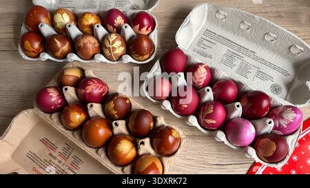 Top view of naturally dyed Easter eggs in cardboard cartons with leaf patterns. Traditional spring preparation expressing creativity, warmth and festi Stock Photo