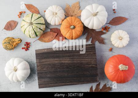 Different variety of fresh harvesting raw pumpkin and empty dark brown wooden board on grey gray stone table background. Happy thanksgiving retro styl Stock Photo
