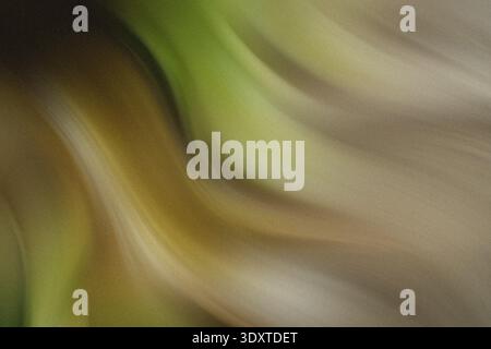 A blurry close up shot featuring shades of green and beige in an abstract and indistinct manner view Stock Photo