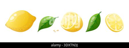Vector set of lemon, sliced into wedges, and leaves Stock Vector