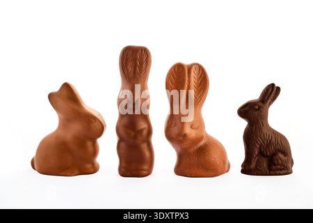 Chocolate easter bunnies standing on a white background Stock Photo