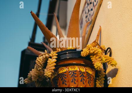 Vibrant succulent arrangement in ornate pot against sunlit wall. Stock Photo