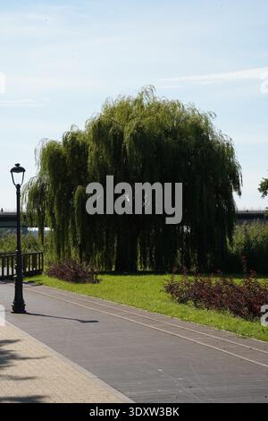 Riverside boardwalk with vintage street lamp, weeping willow tree and bridge under blue sky Stock Photo