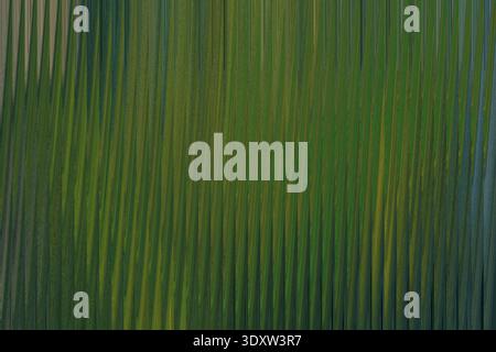 Abstract blurred background featuring shades of green and yellow with vertical lines and soft gradients Stock Photo