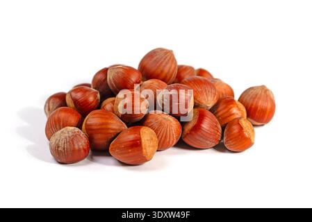 Hazelnuts isolated on white background Stock Photo