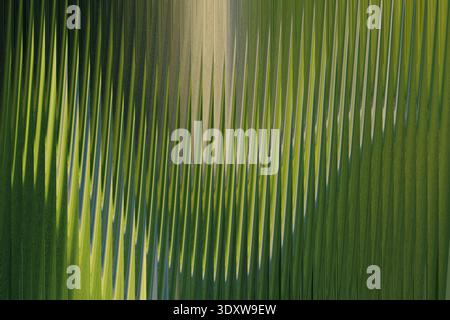 A blurry abstract image featuring shades of green and yellow with a vertical gradient effect present in the image Stock Photo