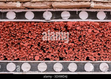 A detailed view shows the traditional floor-ceiling construction of Hemis Gompa, featuring red-painted twig bundles and white-dotted black beams. Stock Photo