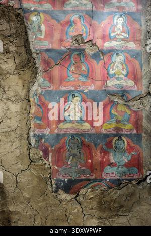 Rows of small Buddha figures painted on a weathered and cracked plaster wall inside the ancient Thiksey Gompa. Stock Photo
