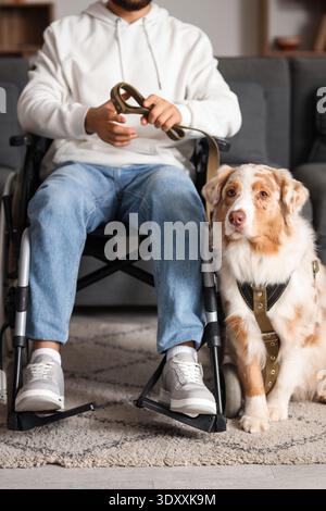Blind young man in wheelchair with guide dog at home Stock Photo