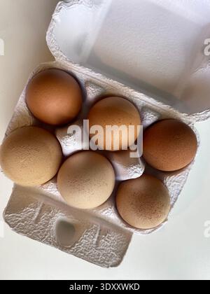 Half Dozen Fresh Brown Eggs In Cardboard Carton Stock Photo