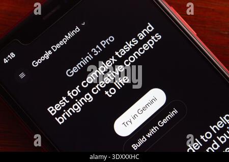 Close-up phone display showing Google DeepMind Gemini 3.1 Pro page, highlighting AI assistant for complex tasks and creativity. Stock Photo