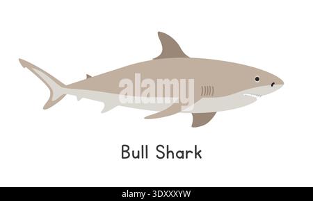 Bull shark vector illustration. Bull shark cartoon clipart, animal in flat style. Sea animals, underwater creatures, ocean animals, marine life Stock Vector