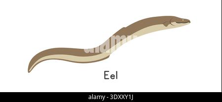 Eel vector illustration, cartoon clipart, animal in flat style. Sea animals, underwater creatures, ocean animals, marine life concept Stock Vector