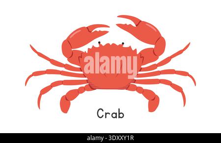 Crab vector illustration. Red crab cartoon clipart, animal in flat style. Sea animals, underwater creatures, ocean animals, marine life concept Stock Vector