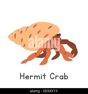 Hermit crab vector illustration. Cute shell-dwelling hermit crab cartoon clipart, animal in flat style. Sea animals, underwater creatures Stock Vector