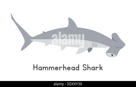 Hammerhead shark vector illustration. Hammerhead shark cartoon clipart, animal in flat style. Sea animals, underwater creatures, ocean animals Stock Vector