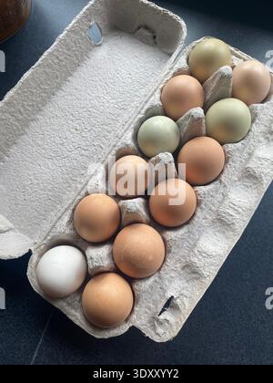 Farm Fresh Mixed Colour Eggs in Carton Stock Photo