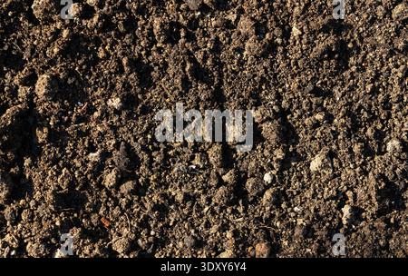 Dark brown organic soil texture background, natural earth topsoil close-up Stock Photo