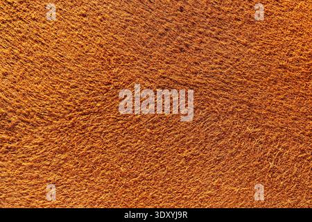 brown suede texture closeup detailed background Stock Photo