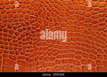 brown crocodile leather texture closeup detailed background Stock Photo