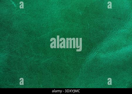 green leather texture closeup detailed background Stock Photo