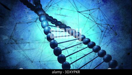 Twisting DNA double helix spiraling in digital backdrop with wireframe grid, dark spheres and rods Stock Photo