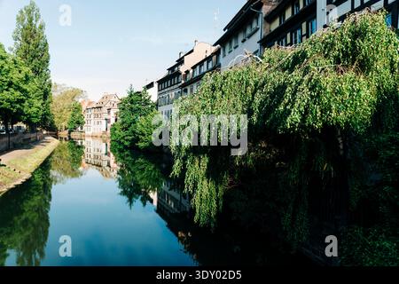 canal in Strasbourg's Petite France quarter with half-timbered buildings and willow trees reflected in water. Stock Photo