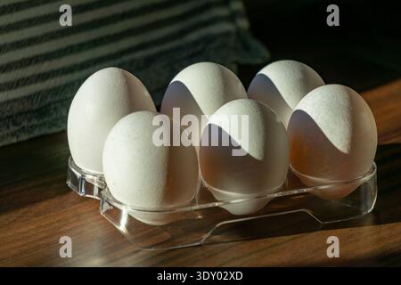 Six white chicken eggs arranged in a transparent plastic tray on a wooden surface. Stock Photo
