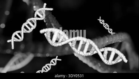Showing large DNA double helix in dark field, with beaded spine, rungs, small helices, light spots Stock Photo