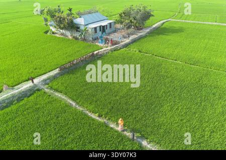 Aerial view of a rustic house nestled in a vibrant autumn landscape ...