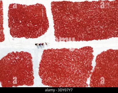 Aerial view of red brick-like structures against a bright white background, creating a striking contrast of color and form, Sariakandi, Rajshahi Divis Stock Photo