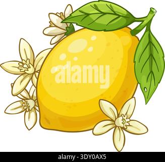 Cartoon vector illustration of bright yellow lemon on a branch with green leaves and white citrus blossoms. Stock Vector
