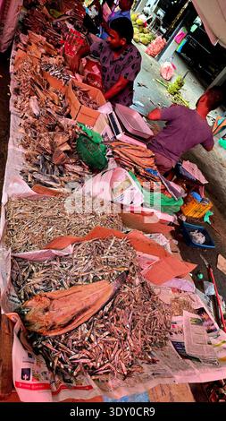 A souvenir shop in Trincomalee. Sri Lanka. Stock Photo