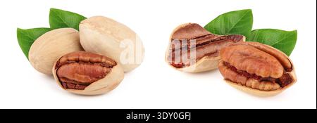 Three pecan nuts isolated on white background Stock Photo