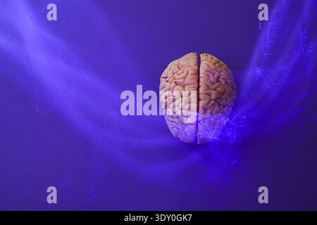 Human brain model with glowing neural pathways Stock Photo
