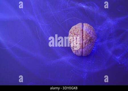 Brain model generating neural impulses on blue background Stock Photo