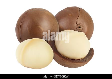 macadamia nuts isolated on white background with full depth of field Stock Photo